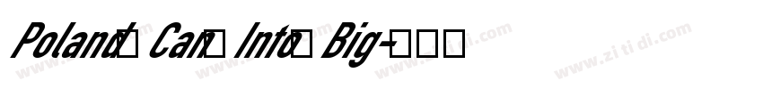 Poland Can Into Big字体转换